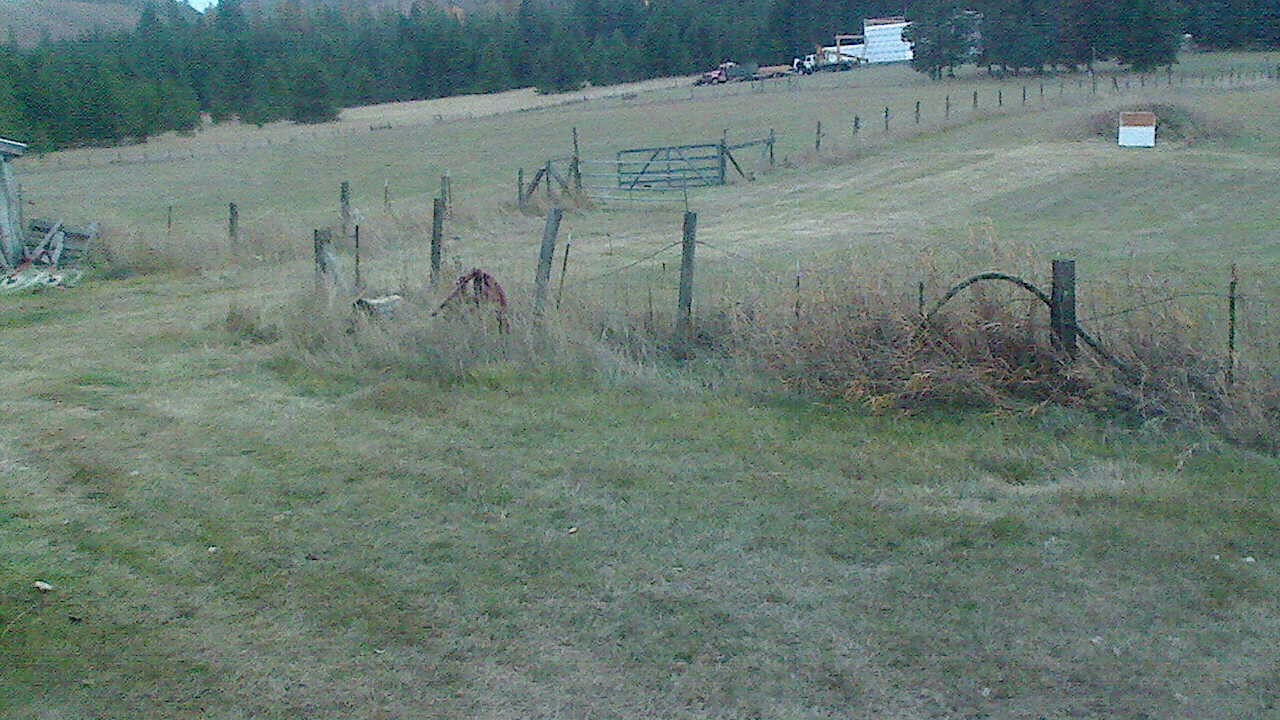 Fernwood Web Cam
